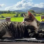 Sheepviewhouse Leo 3* Kilgarvan