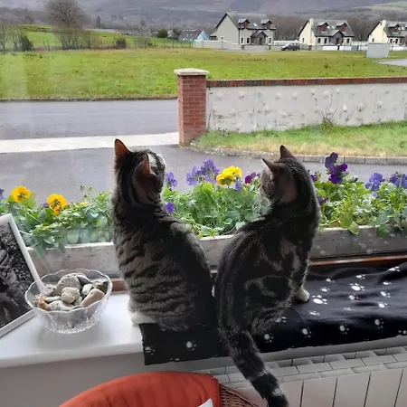 Sheepviewhouse Leo 住宿加早餐酒店