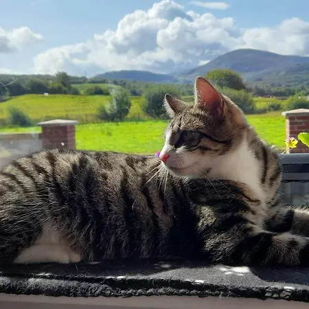 Sheepviewhouse Leo 3* Kilgarvan