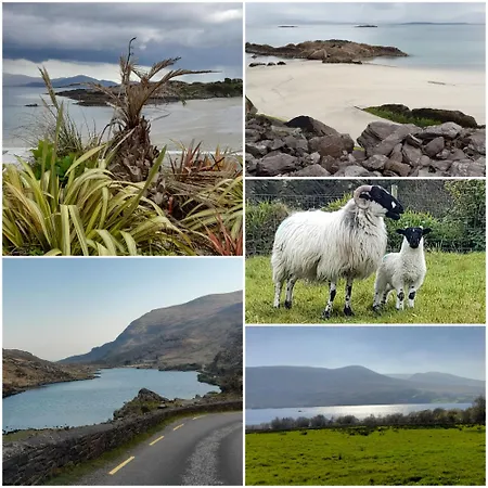 Sheepviewhouse Leo 住宿加早餐酒店 Kilgarvan