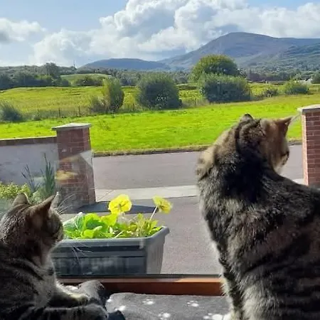 Sheepviewhouse Leo 3* Kilgarvan