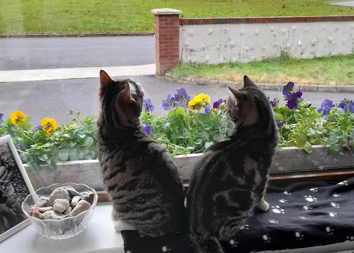 Sheepviewhouse Leo לינה וארוחת בוקר