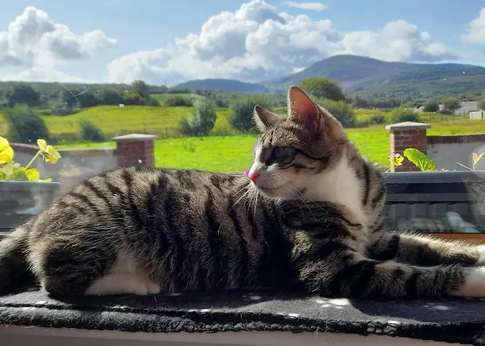 Sheepviewhouse Leo 3* Kilgarvan