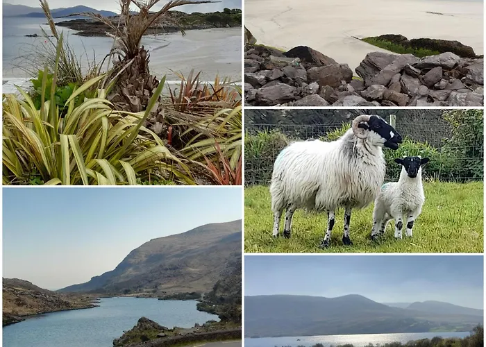 Sheepviewhouse Leo לינה וארוחת בוקר Kilgarvan