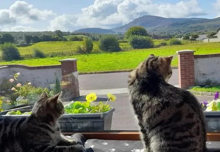 Sheepviewhouse Leo 3* Kilgarvan