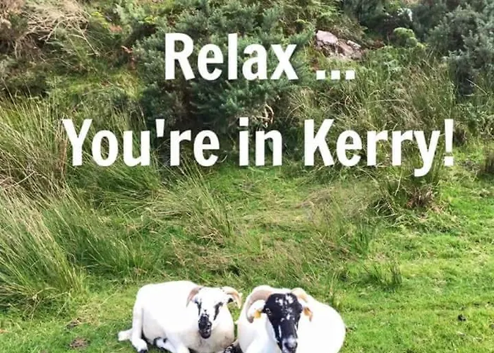 לינה וארוחת בוקר Sheepviewhouse Leo